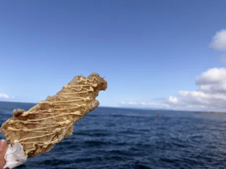 3/14 のお礼🧑‍🏫☕️/ミナモ【人妻コース】青森出勤