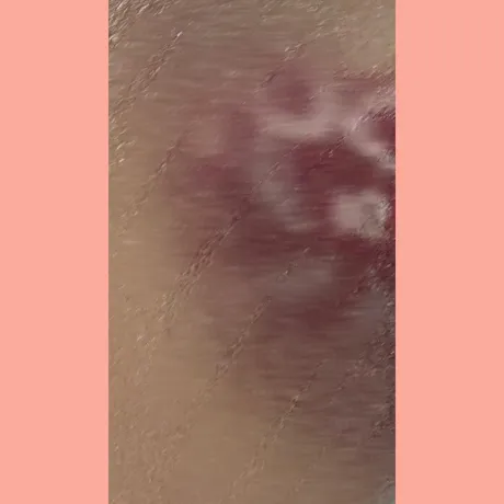 ネネクリエーション