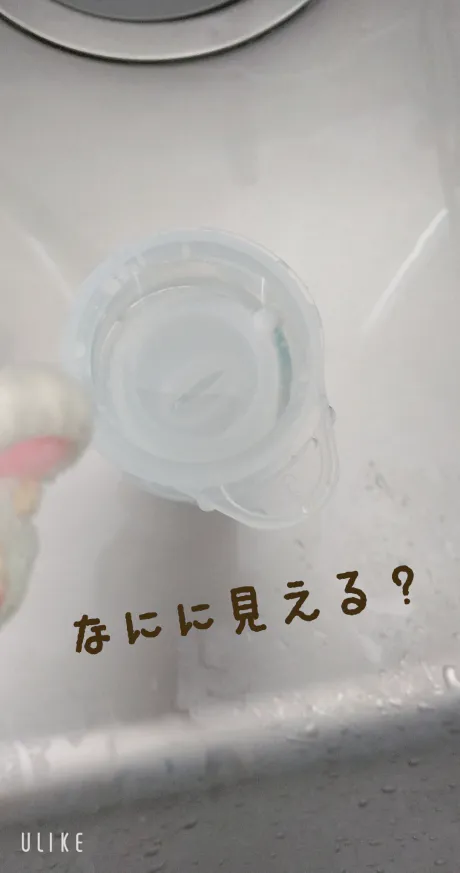 なにに見えるシリーズ！/緊急入店マオリ(弘前)