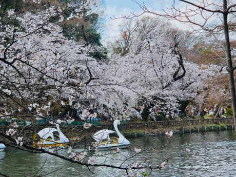 こなみ　奥様SUTEKIな奥様は好きですか？