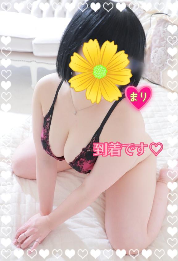 到着( ✿˘︶˘✿ )