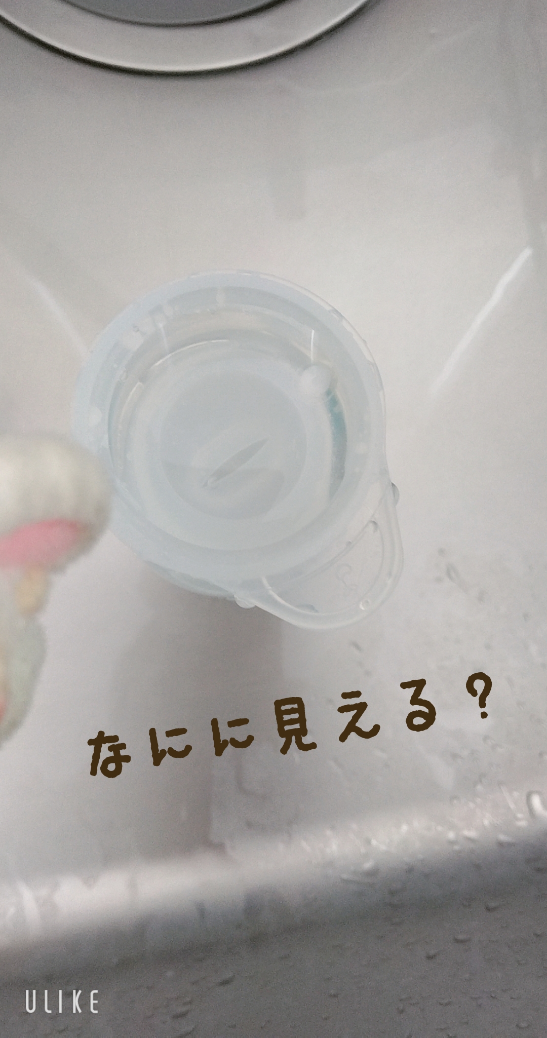 なにに見えるシリーズ!