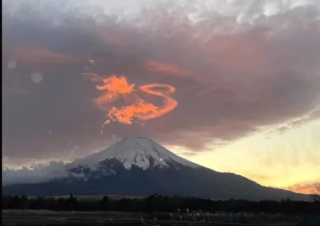 愛海-あいみ-人妻倶楽部　花椿盛岡店