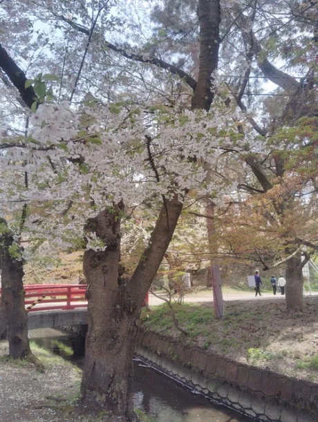 かな(喘ぐ！潮吹く！の超淫乱ドM)デリボックス
