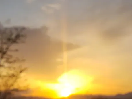 お礼/高山（たかやま）