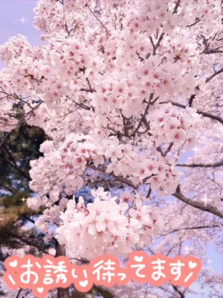 あいかのブログ 出勤予定♡