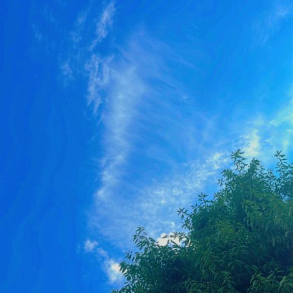 𝐺𝑜𝑜𝑑 𝑚𝑜𝑟𝑛𝑖𝑛𝑔︎- ̗̀ ☺︎  ̖́-