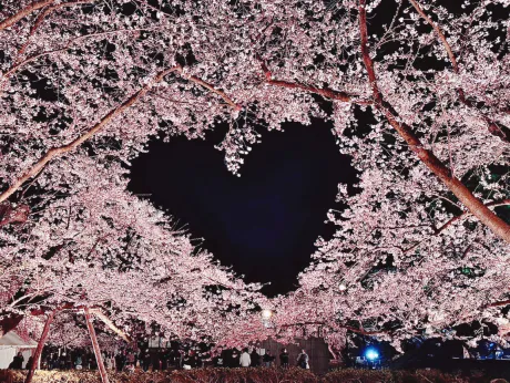 もも（弘前、※青森事前予約）デリバリーヘルス Peony Garden