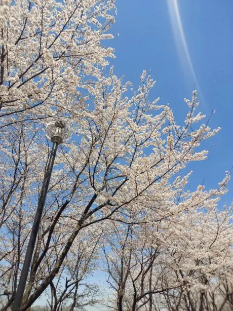 ミナミ人妻生レンタルーNTRー