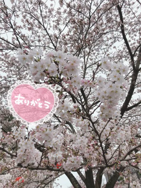ユウナTWO×TOP-ツートップ-