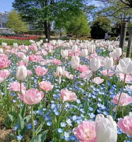 おはようございます☀️