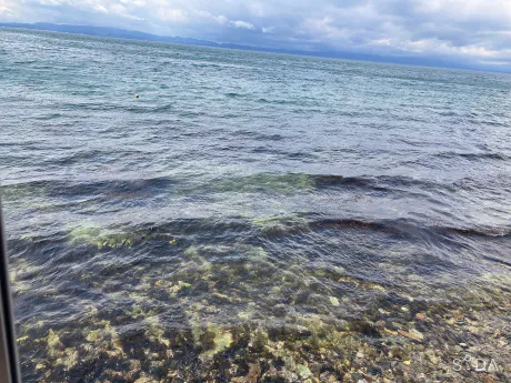 なお[弘前]のブログ 低気圧な