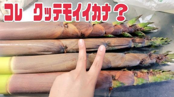 ｺﾚｸｯﾃﾓｲｲｶﾅ？