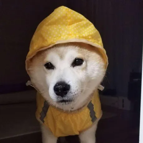 こんにちは～ ( * ・ω・) ノ/★あん奥様