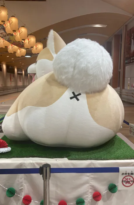 はずき 【青森】キューティーハニーズ