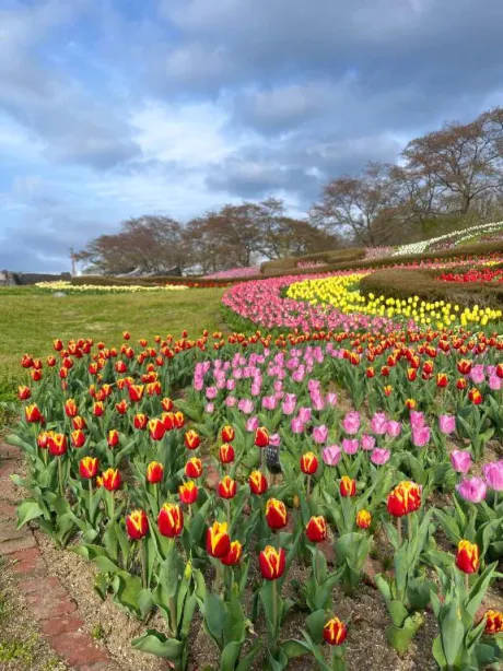 ひよりのブログ 🈳22:50～
