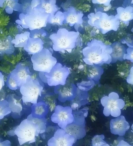 雫(しずく)グランドオペラ福岡