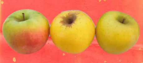 まさみ　奥様SUTEKIな奥様は好きですか？