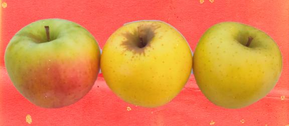 ほろ酔いなまさみちゃん💋