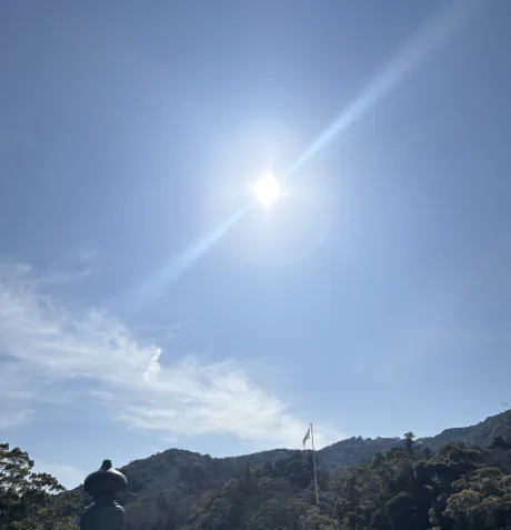 さくらのブログ 口コミありがとう