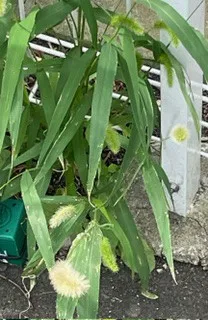08/23 13:03みか 奥様