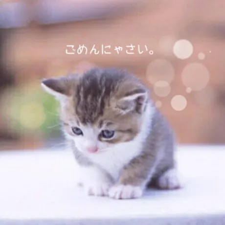 お休みします..