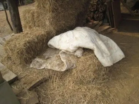 ひつじ奥様メモリアル