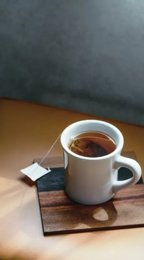 サエコウレッコ