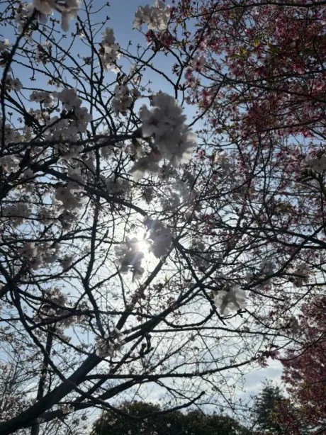 間違えました/ふうか