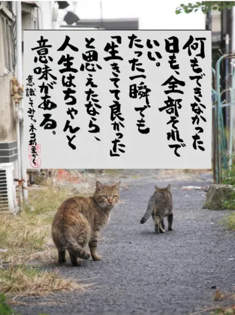 シオン人妻生レンタルーNTRー