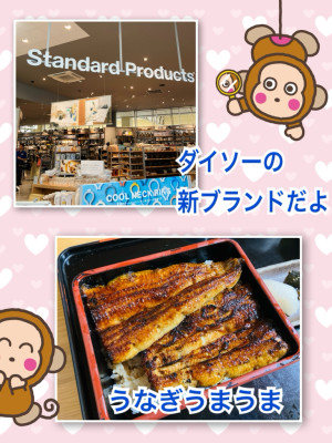 新ブランド
