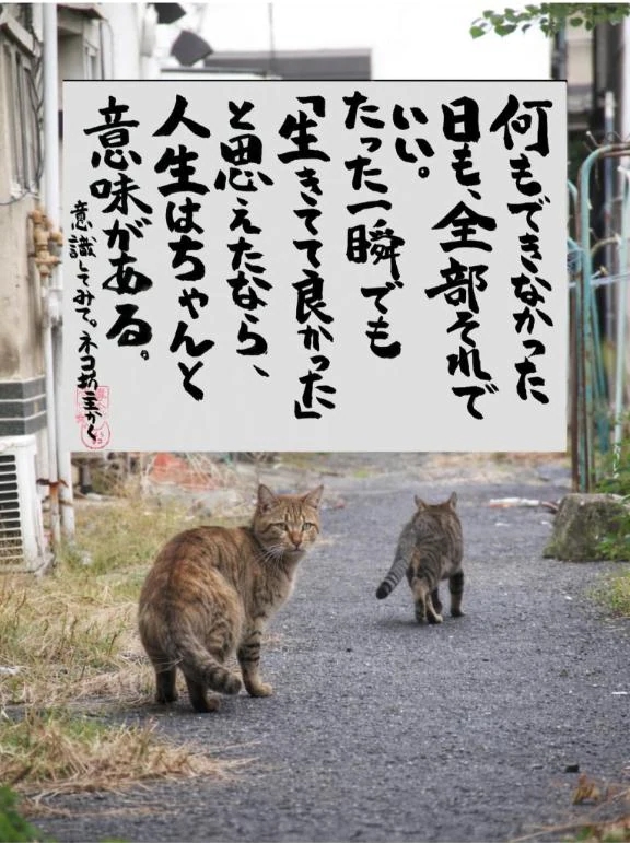 今日も頑張った👍