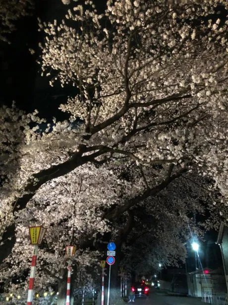 ましろ　奥様SUTEKIな奥様は好きですか？