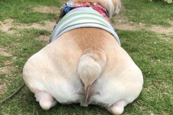 くみ　奥様SUTEKIな奥様は好きですか？