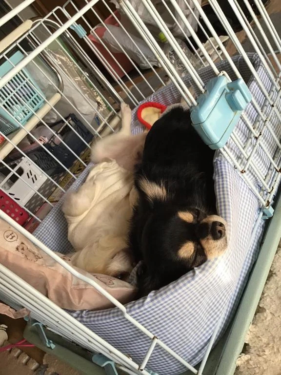 おはようございます☀️