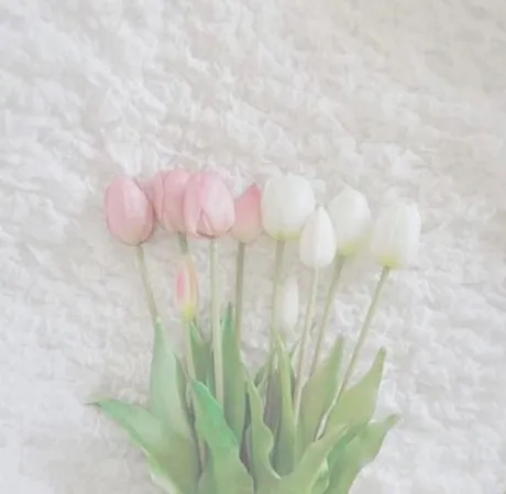 栞花(かんな)グランドオペラ福岡