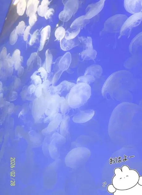 かえで愛 LAND-アイランド-