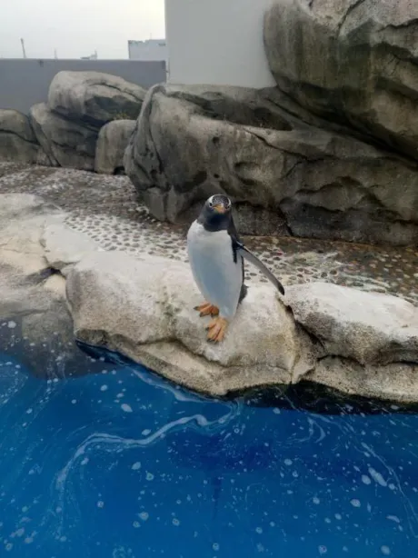 一目惚れ😘💗😍/つきよ