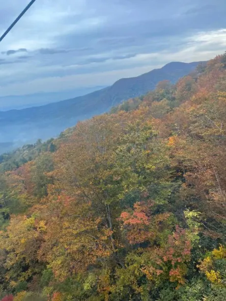 愛海-あいみ-人妻倶楽部　花椿盛岡店