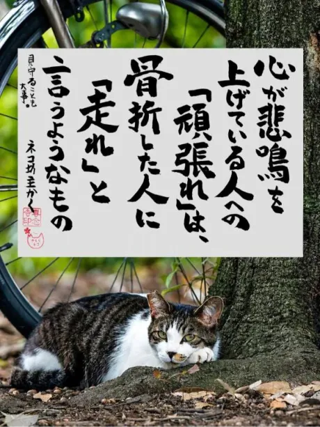 シオン人妻生レンタルーNTRー