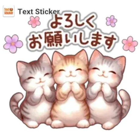 新人みさきマダム DOLCE