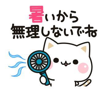 本日17時から🥰❣️