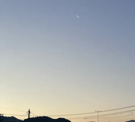 ⊂(ᴑ╹.╹ᴑ)੭💌/セレナ