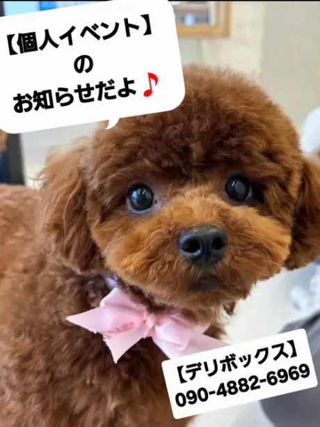 めい (魅惑のEカップ、パイパン嬢)デリボックス