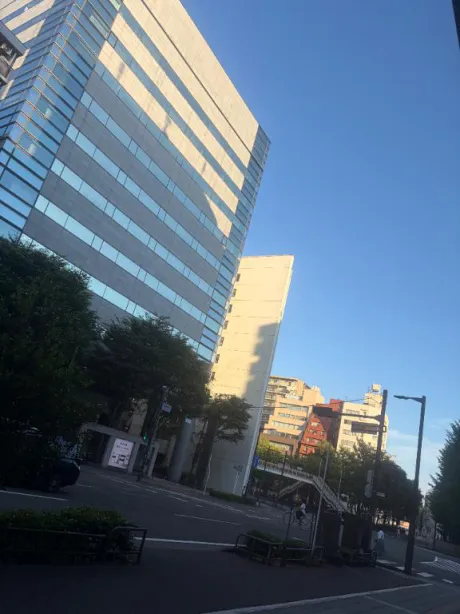 さりDeliysCure仙台