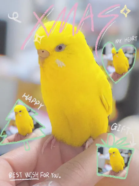 しおりのブログ おはよん☀️💕