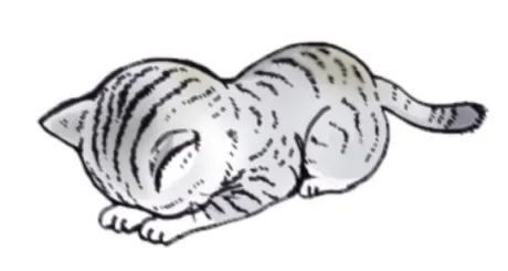 なの　奥様SUTEKIな奥様は好きですか？