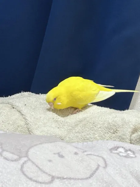 ごめんなさい😭