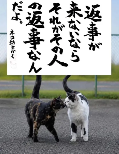 おやすみなさい♡/シオン