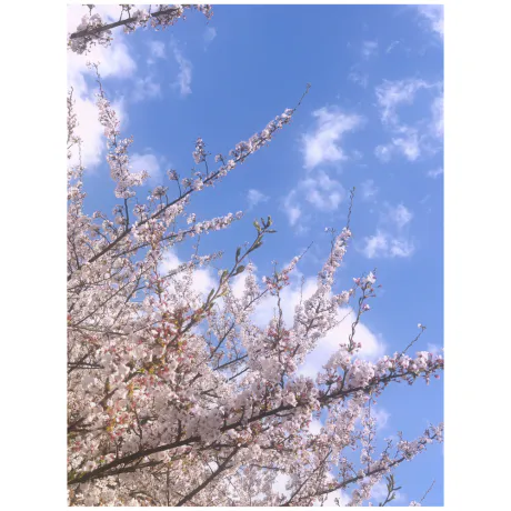 ようやく 🥰/ソヨカ